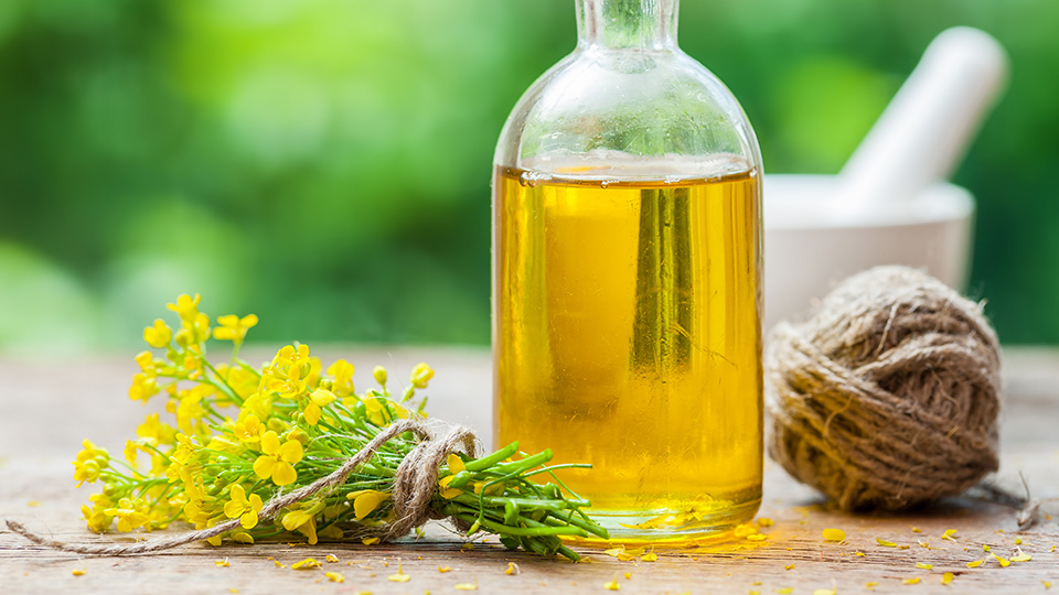 An Introduction to Sesame Oil