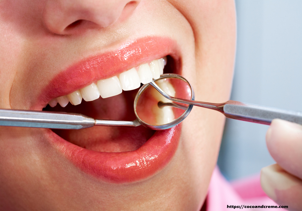 Maintain Your Oral Health by Going to the Dentist