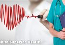 Climb to Superior Health Or Fall "Gracefully" Into Disease