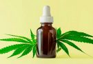 A Beginners Guide TO CBD