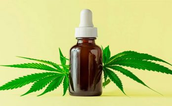 A Beginners Guide TO CBD