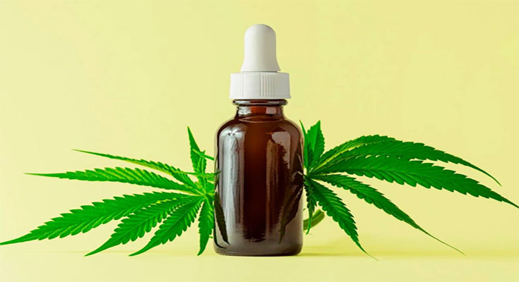 A Beginners Guide TO CBD